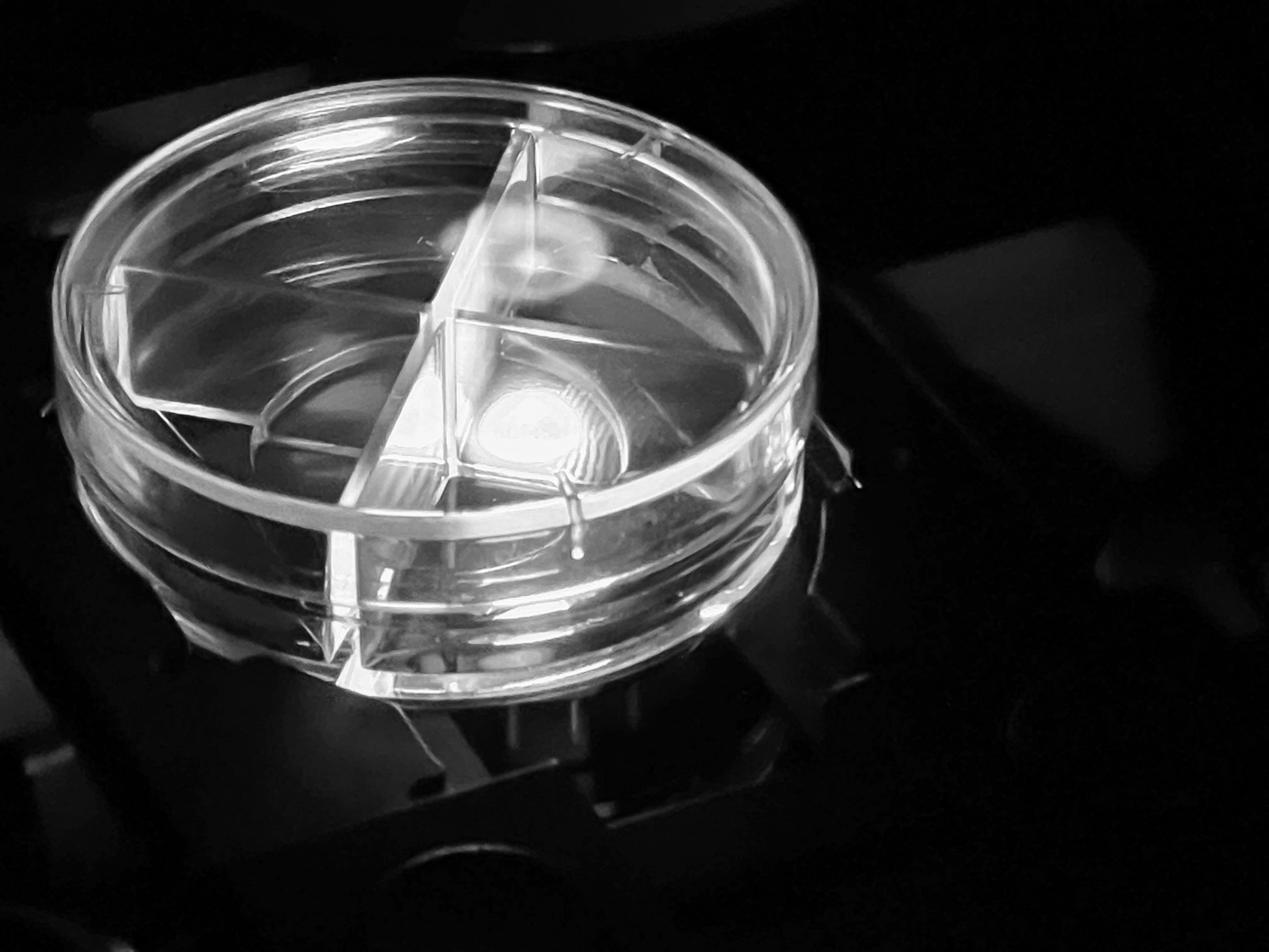 Experimental setup photo