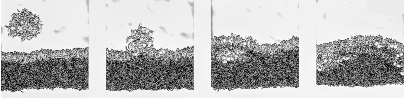 In silico modeling sequence